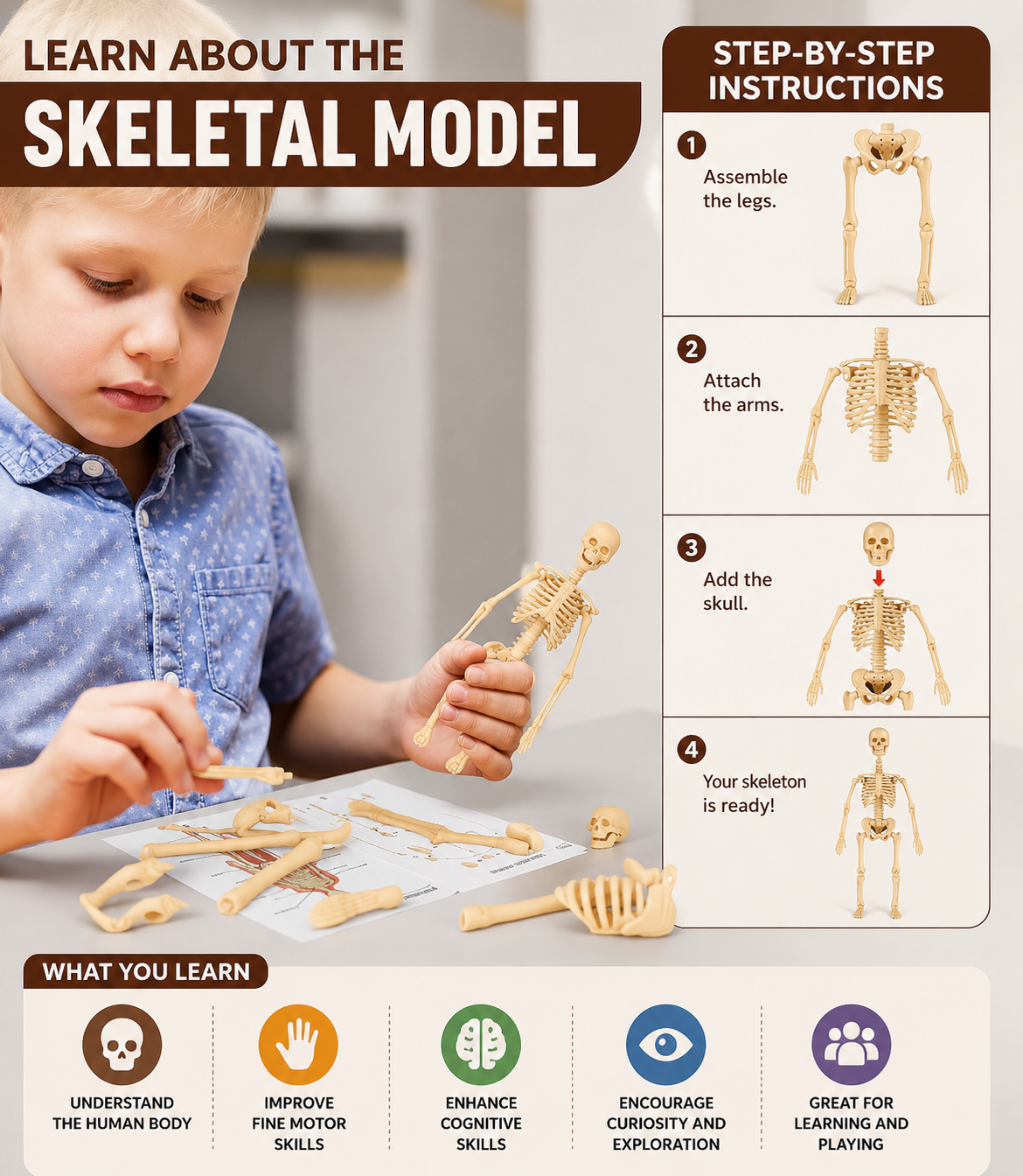Anatomisch leermodel voor kinderen