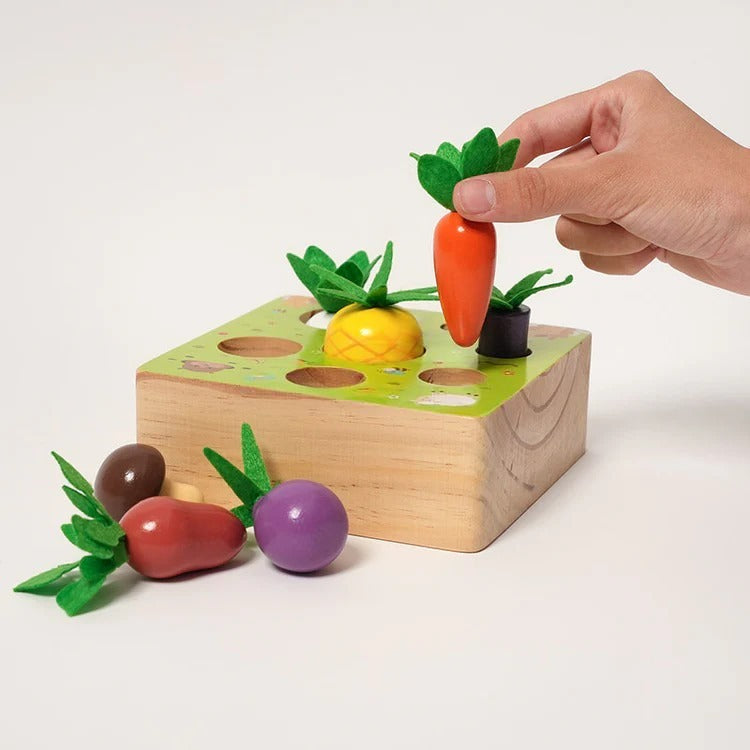 Montessori-houten groenteset