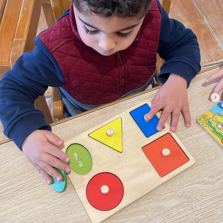 Montessori-puzzel voor vormen & kleuren
