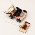 STEM RC-autobouwset van hout
