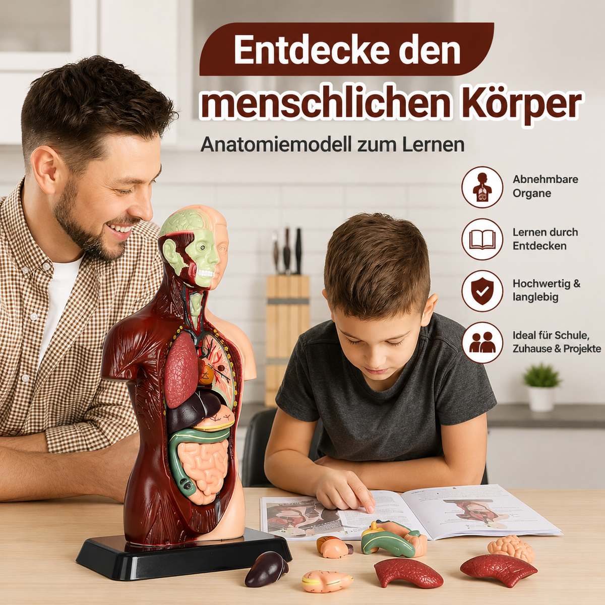 Anatomisch leermodel voor kinderen