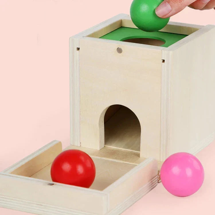 Montessori-vormenbox met gekleurde ballen