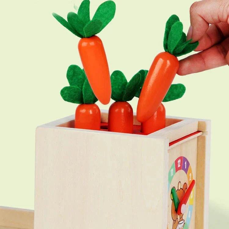 Montessori-vormenbox met gekleurde ballen