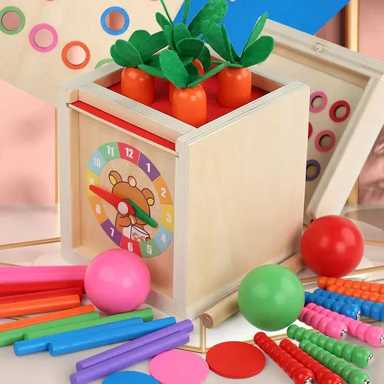 Montessori-vormenbox met gekleurde ballen