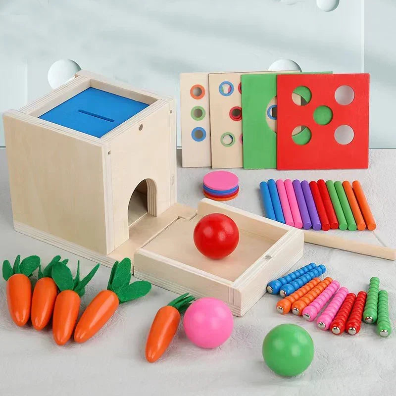 Montessori-vormenbox met gekleurde ballen