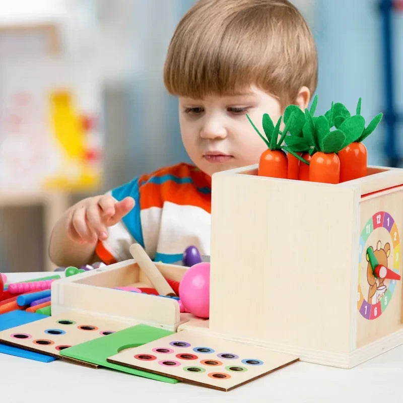 Montessori-vormenbox met gekleurde ballen