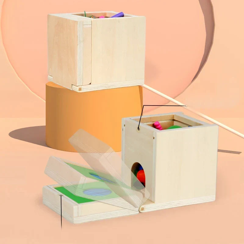 Montessori-vormenbox met gekleurde ballen