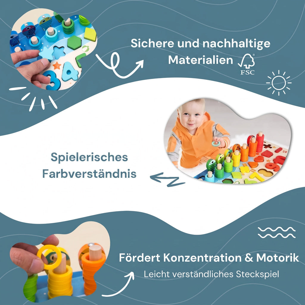 Montessori-vis- & vormenspel