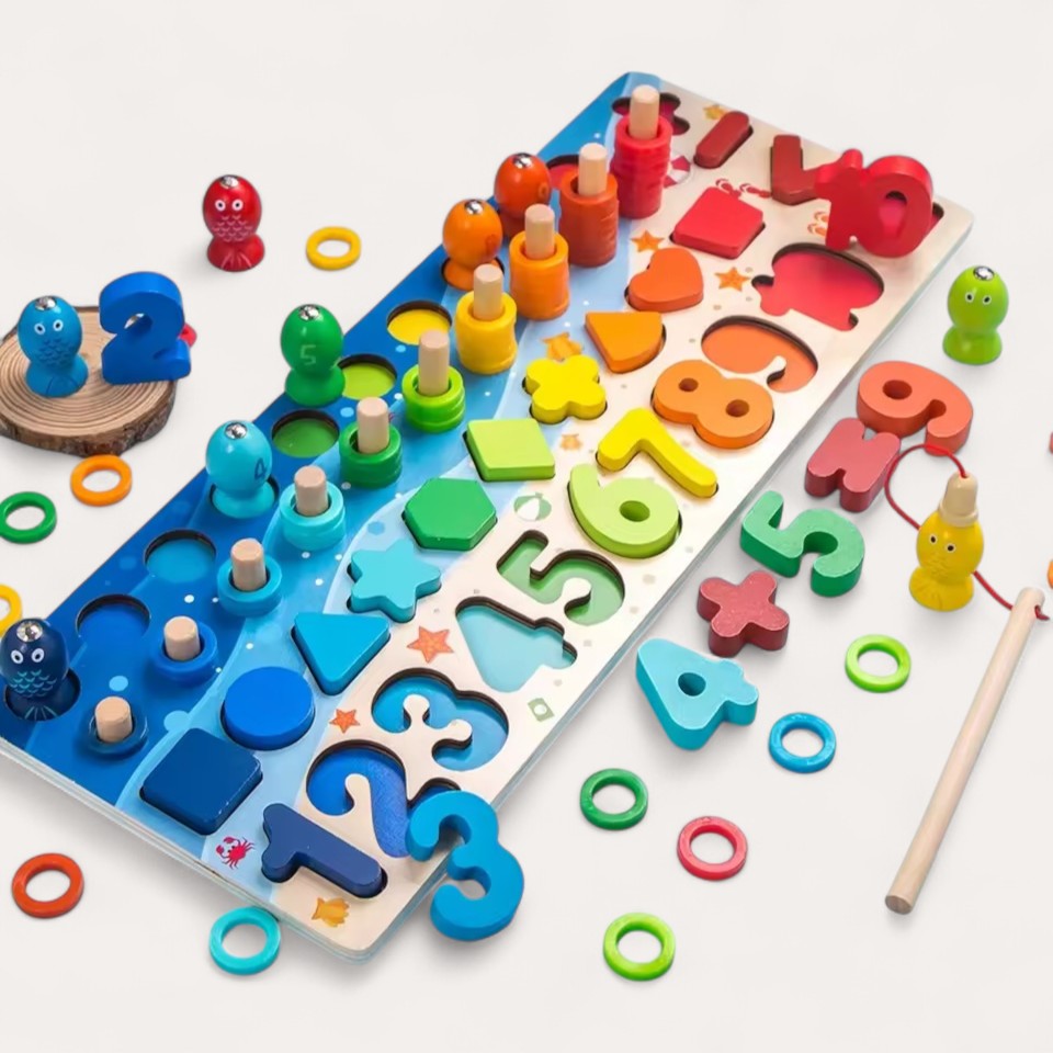 Montessori-vis- & vormenspel